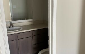 Wayman Manor Bathroom Renovated