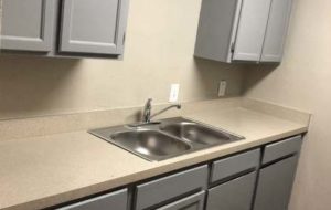 Gray Cabinet Kitchen Photo