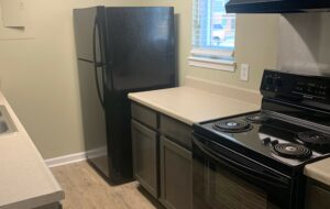 Renovated Kitchen