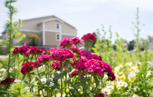 Denver gardens exterior with flowers 2 low res