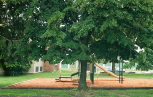 Landmark Village Playground